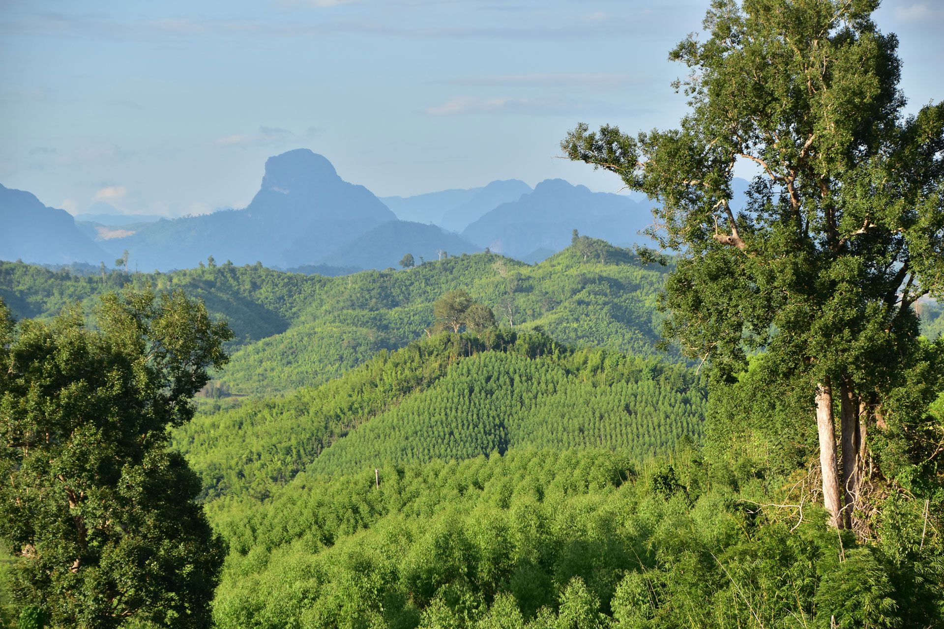 Buru landscape